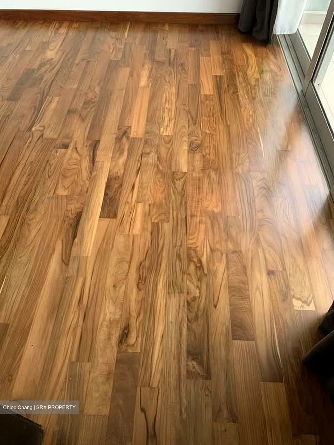 Haig 162 (D15), Apartment #553364471